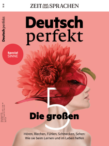 Deutsch Perfekt Die 5 Groben