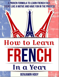 How To Learn French In A Year Book
