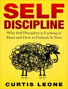 A person standing confidently on a mountain peak, symbolizing self-discipline and success