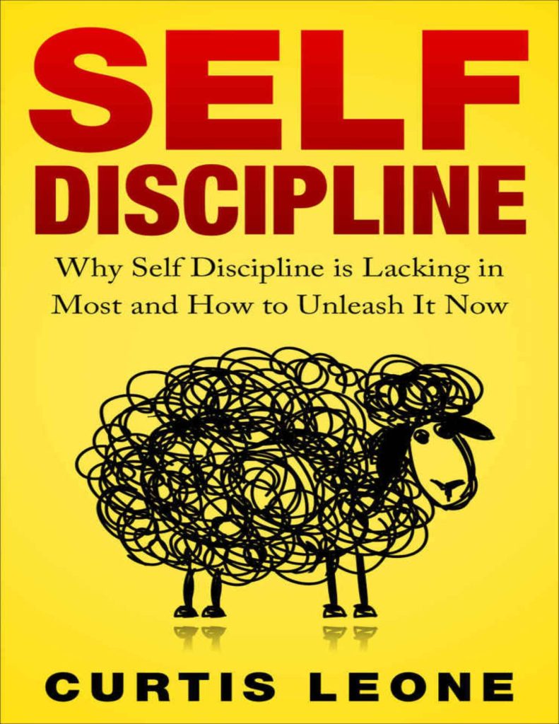 A person standing confidently on a mountain peak, symbolizing self-discipline and success