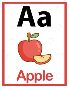 Alphabet Identification Workbook